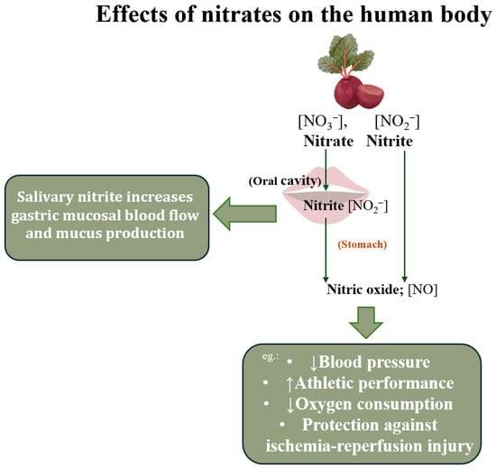 Beetroot juice boosts physical endurance and muscle power in recreational athletes
