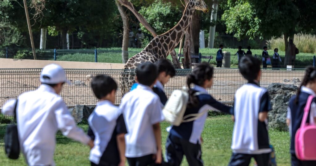 Zoos used to be entertainment venues, but now they're central to heritage and conservation