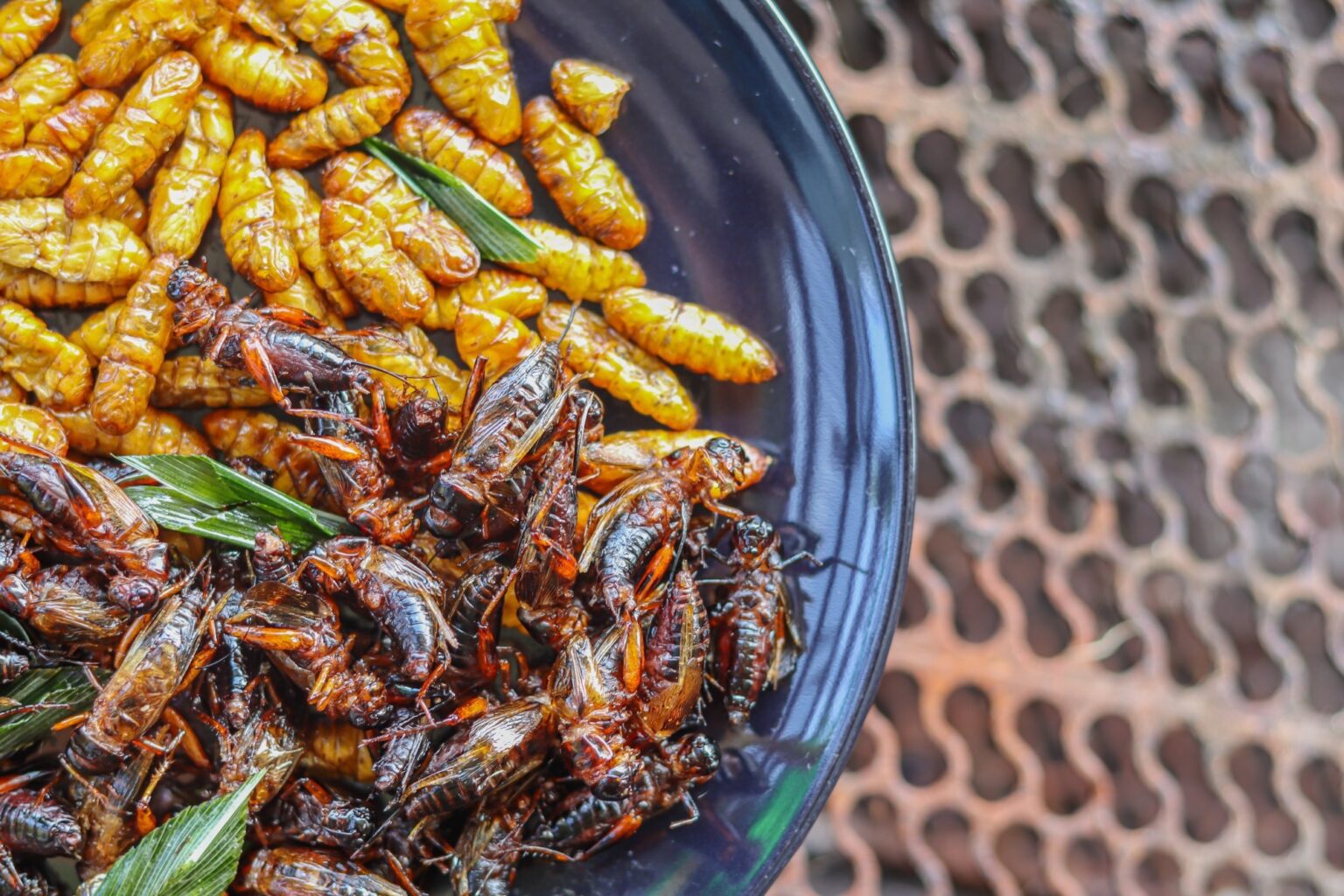 Nutritional Benefits, Safety, and Environmental Impact