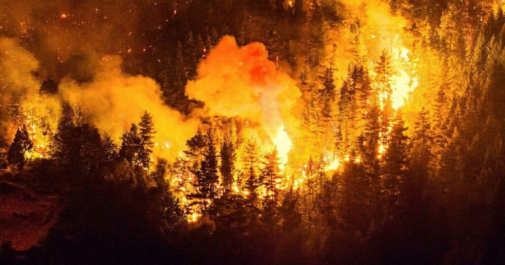 2025 third warmest year – solidifies gloomy trend