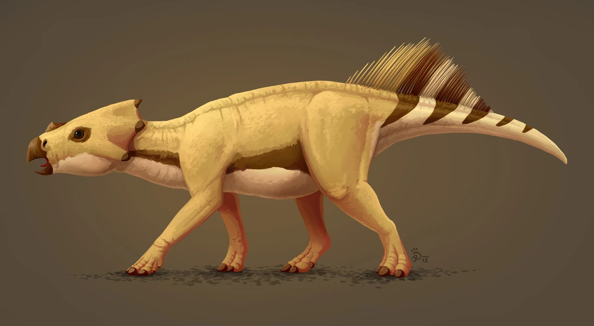 herbívoro Ajkaceratops (Imagem: Reprodução/Wiki Index)