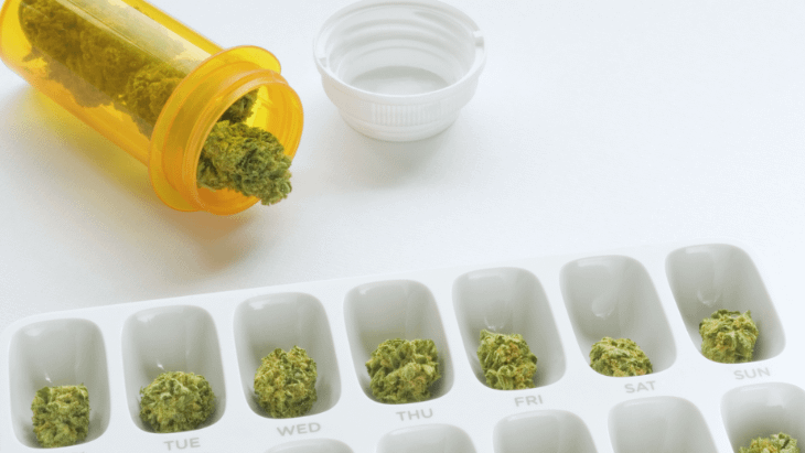 Clinical Trial: Plant-Derived Cannabis Formulations Show Comparable Efficacy to Lorazepam in Insomnia Patients