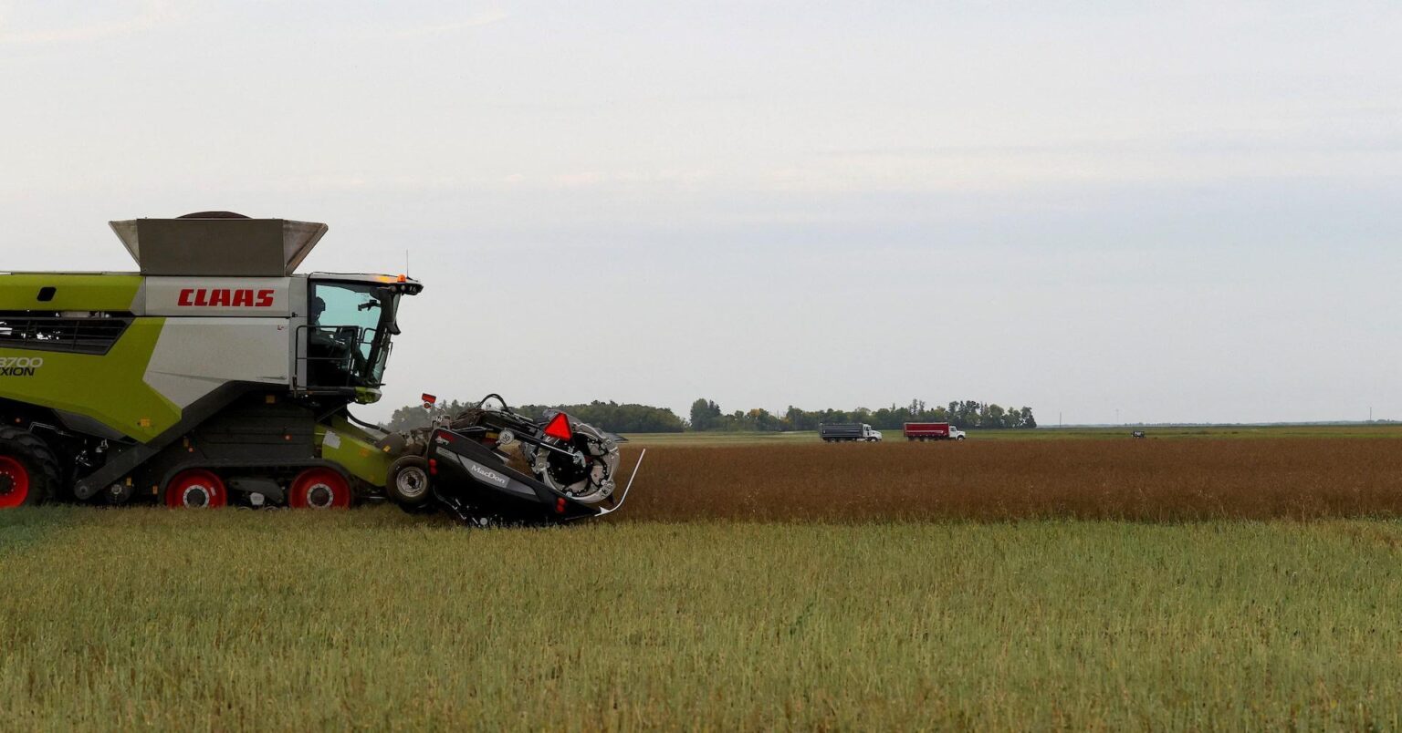 China buys more Canadian canola after Mark Carney visit