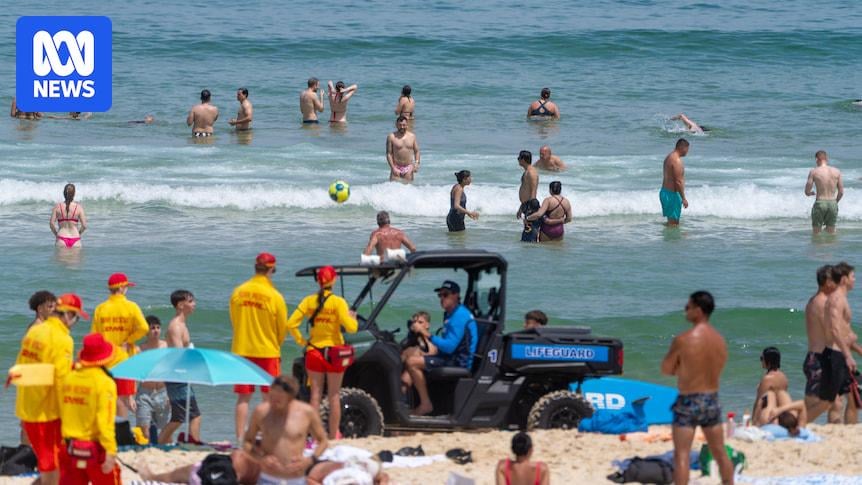 Majority of NSW beaches shut amid shark attacks to reopen for Australia Day long weekend