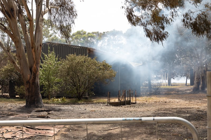 Bushfires have burned tens of thousands of hectares in Victoria, destroying multiple homes and other structures. Photograph: Jesse Thompson/Getty Images