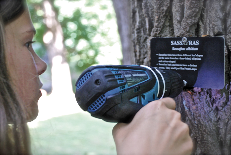 Volunteer Opportunities In The Irvington Woods