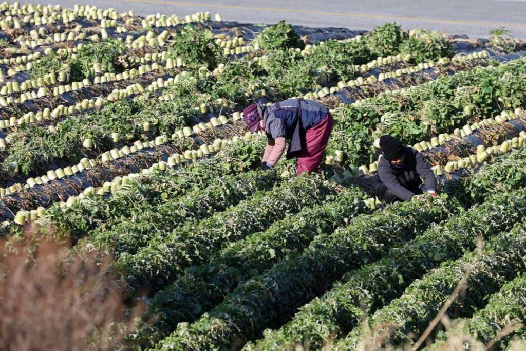 Gov't orders nationwide crackdown on labor exploitation of migrant workers