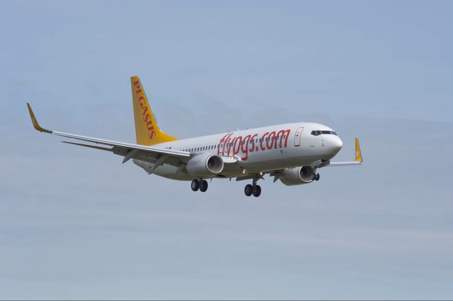 Pegasus airlines