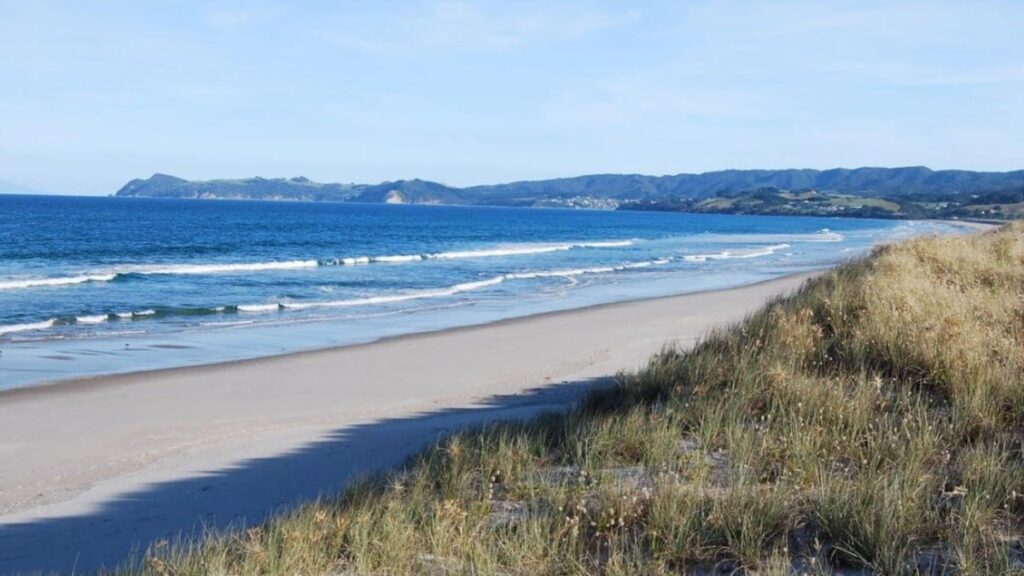 New Zealand’s Best Beach 2026: Vote now in the Herald competition New Zealand’s Best Beach 2026: Vote now in the Herald competition
