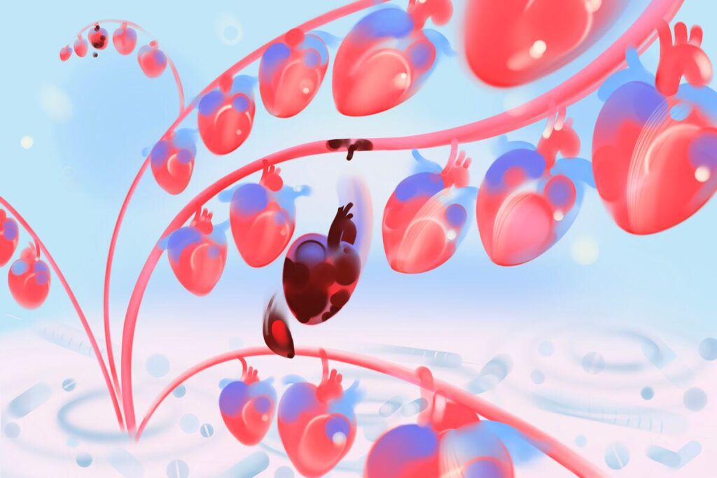 Life-Saving Cancer Drugs Are Leaving Survivors With Damaged Hearts