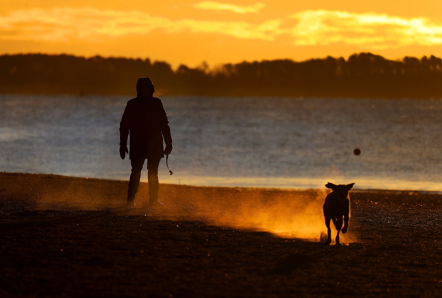 Tim O'Rourke watches his dog, Nollie, as they played on a South Boston beach.