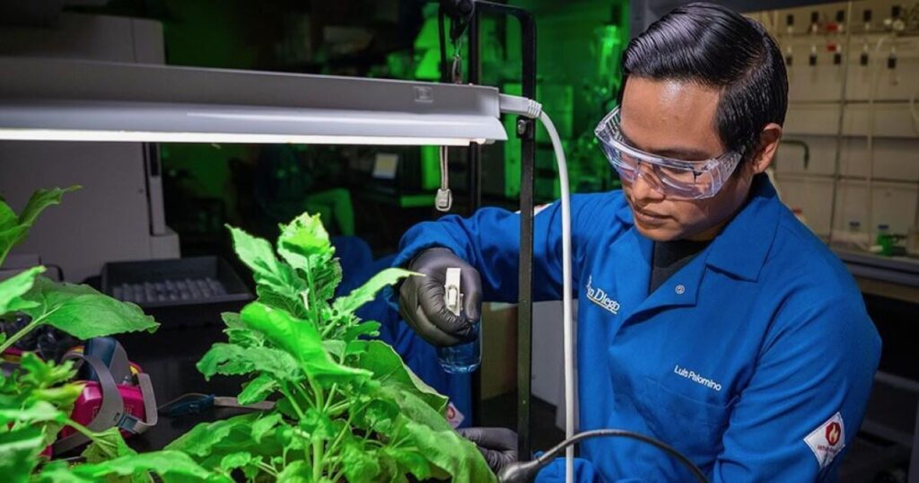 Spray-on armor for plants offers a new tool for global food security. Research reveals a polymer functioning as a spray-on armor that helps plants fight destructive bacteria while surviving drought.
