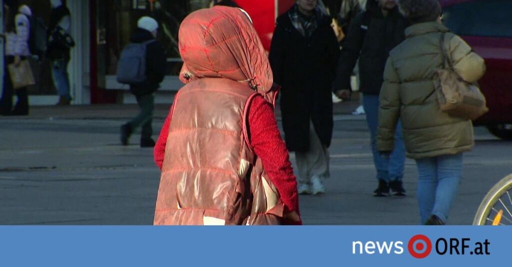 In Vienna, seven under-18-year-olds died in 2025 as a result of drug use who were under the care of child and youth welfare (MA 11).