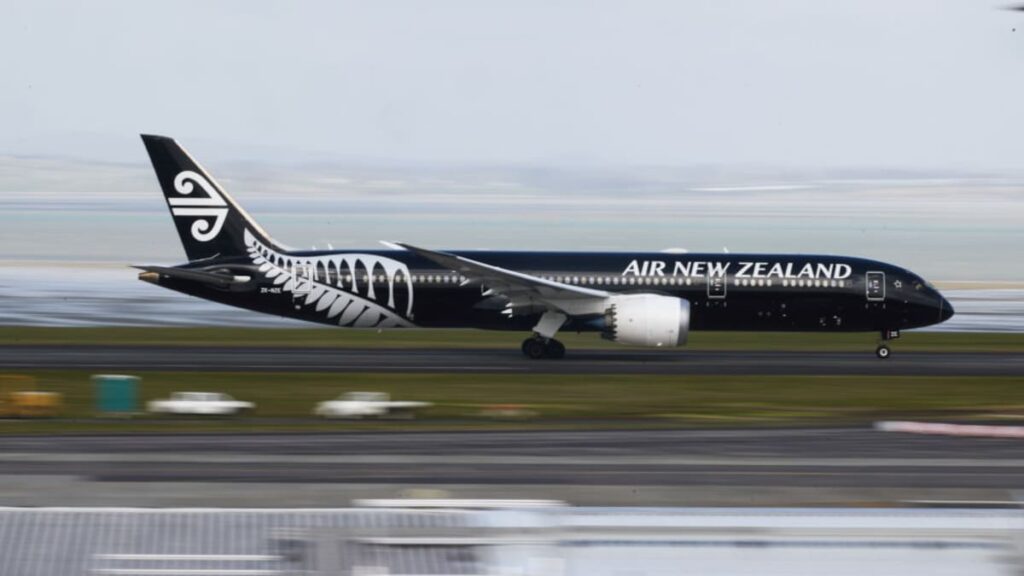 More than 50 flights cancelled as high winds batter Wellington