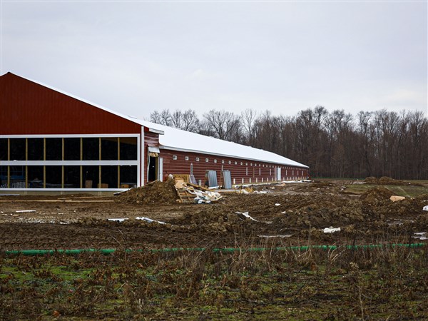 Health district concerns mount over new chicken plant