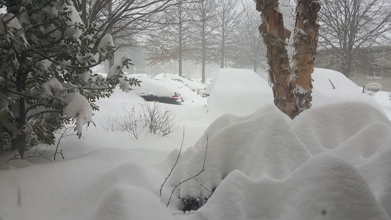 Brutal cold snaps US energy output, sends power prices swinging