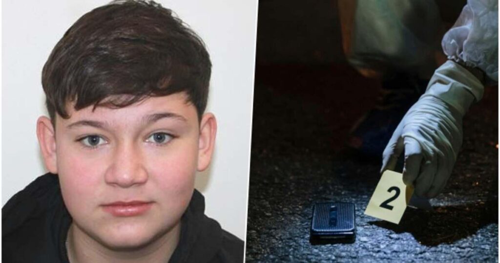 "Mario's Law", the petition through which Romanians demand punishments for crimes committed by discerning minors - Tion