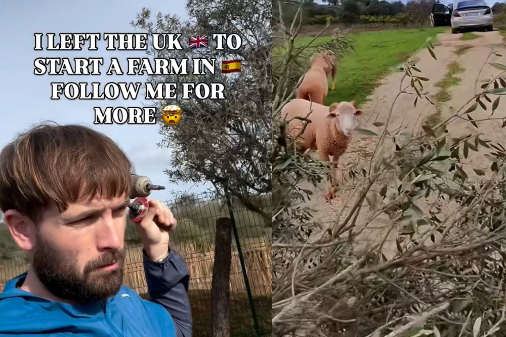 Welshman heads to Spain to start new life on farm