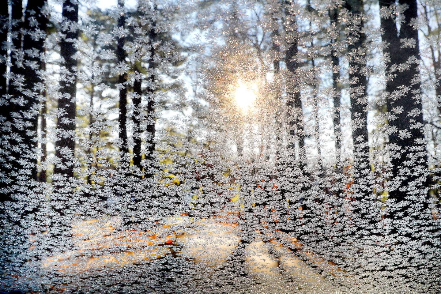 Frost covers the windshield of a car in Pembroke  on Dec. 9.