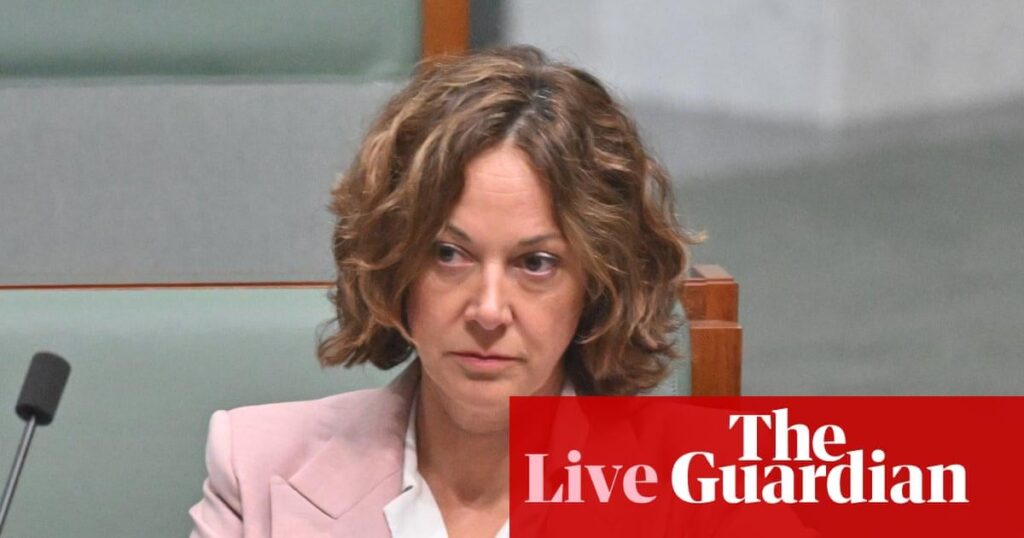 Minns acknowledges Domain ‘potentially’ a good option for rallies if CBD protests curtailed