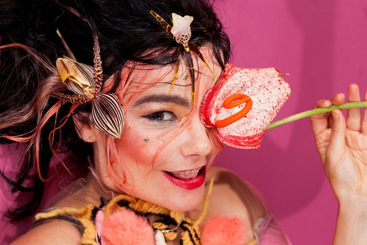 Record store boycotts Björk: Your post is divisive and only helps the "crazy" on the other side of the Atlantic