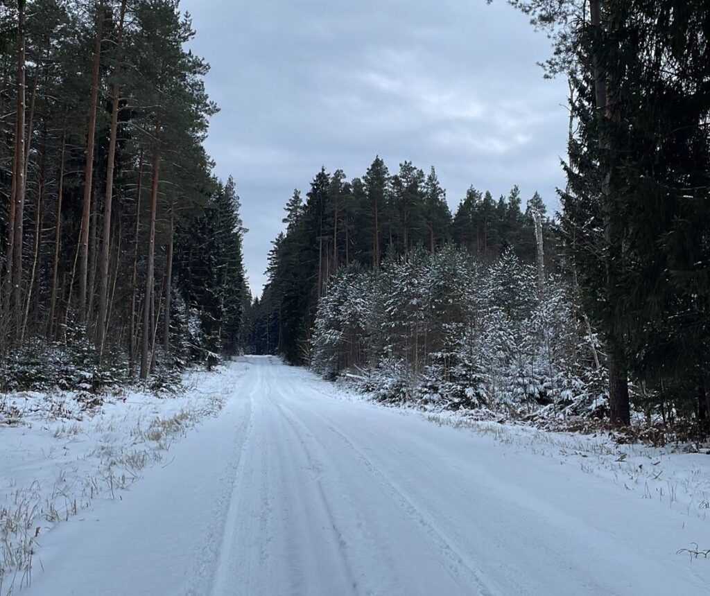 Wintery weather takes hold of Latvia: snow, black ice and slippery roads