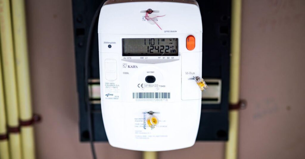 Grid operators are buying 4 million smart meters in China, the Chamber is concerned about dependency