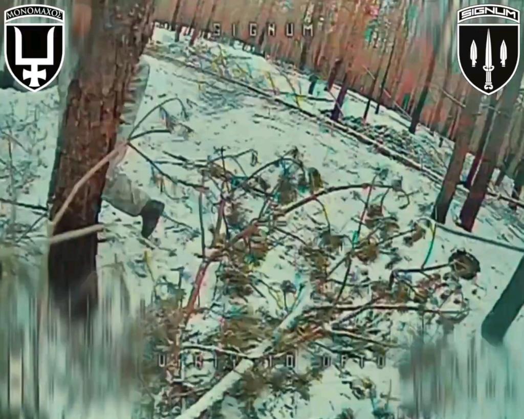 SIGNUM Battalion On the Hunt Again