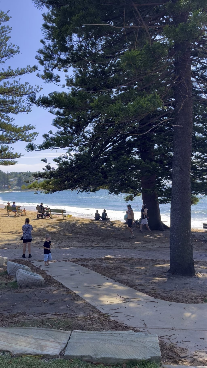 Was the perfect day for a swim