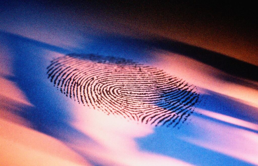 In 2026, the EU will allow the United States to access the biometric data of millions of Europeans | EURACTIV FR