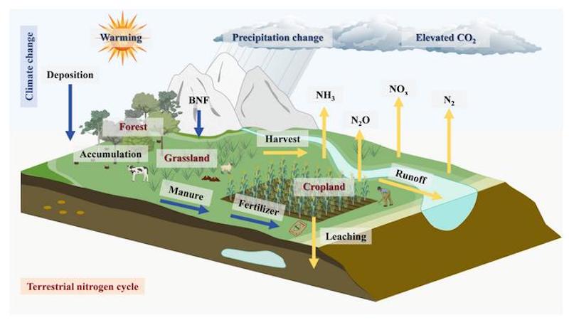 Climate Change Is Quietly Rewriting The World’s Nitrogen Cycle, With High Stakes For Food And The Environment – Eurasia Review