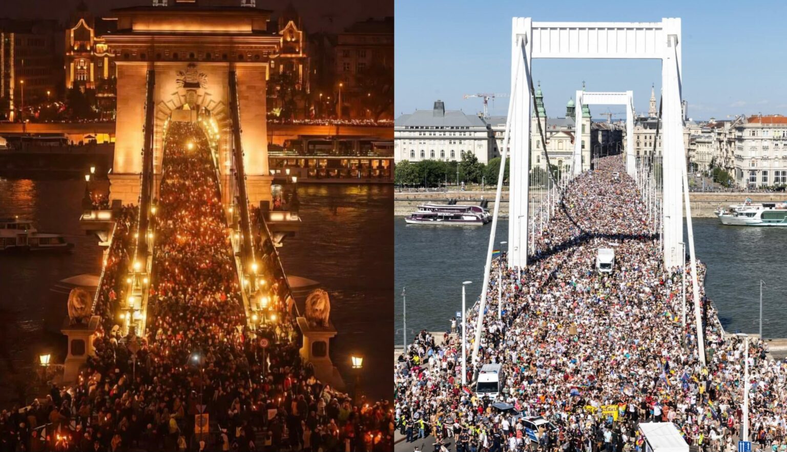 I wish you a system changer 2026, erhu!❤️🤍💚