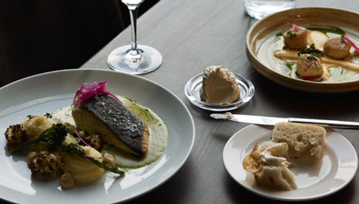 In Norway, skiing through a winter wonderland logo