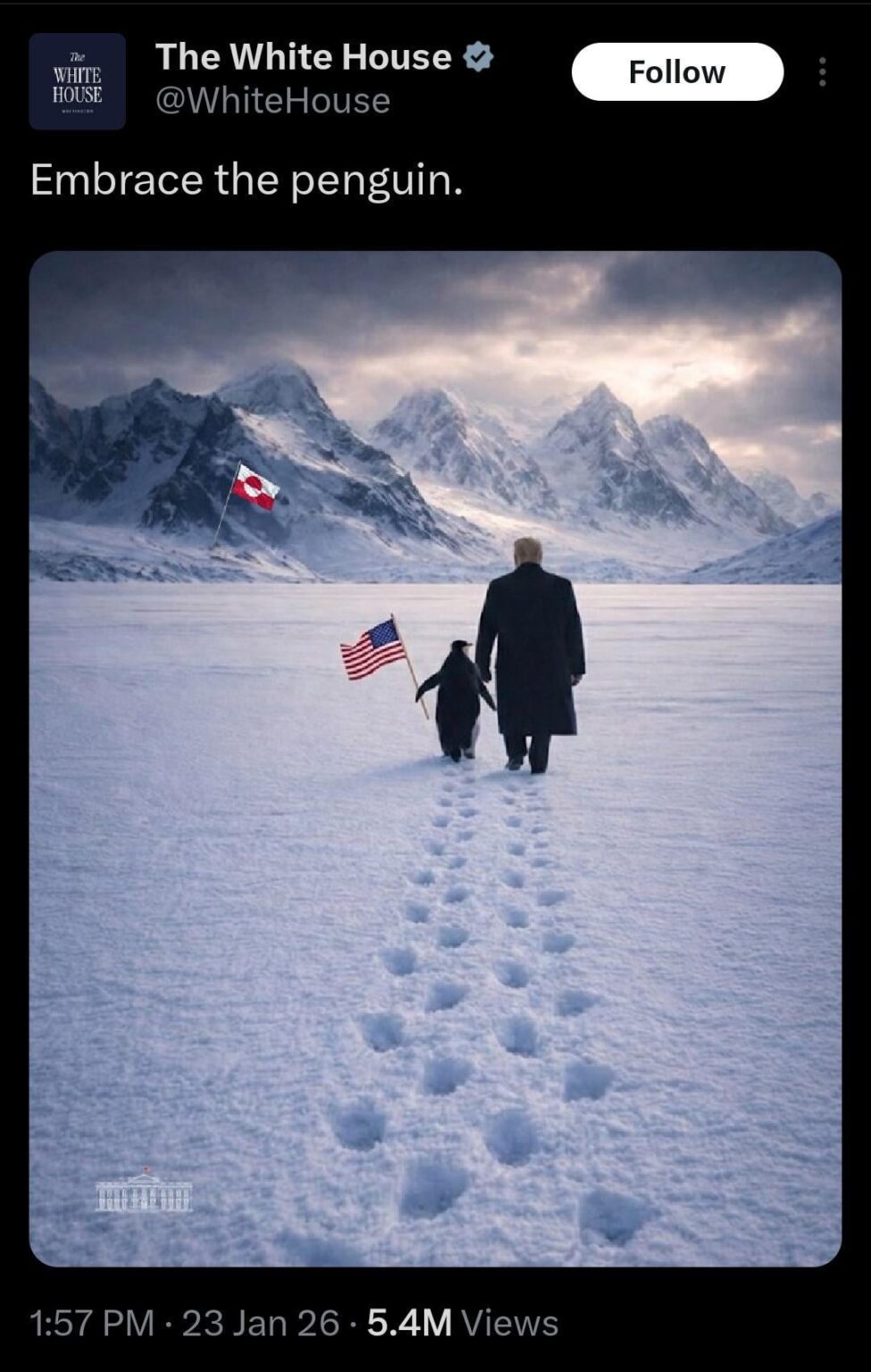 The orange man thinks there are penguins in Greenland