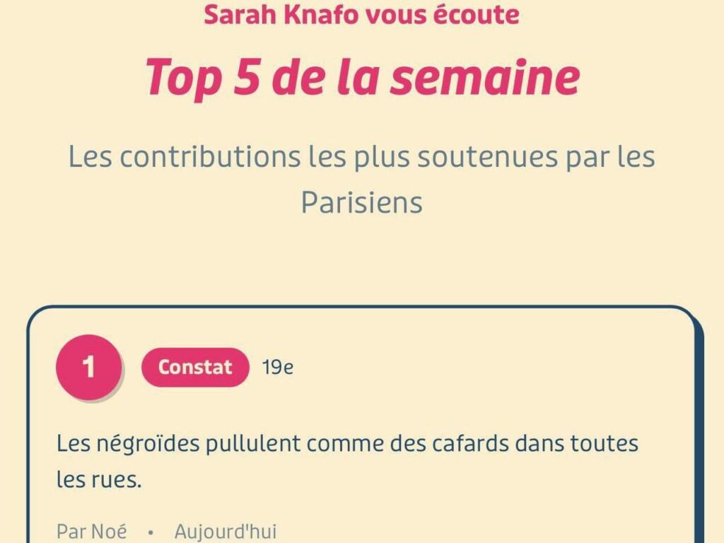 “Negroids are swarming”, “are we in Paris or Kabul? »: Sarah Knafo's campaign already marked by racism