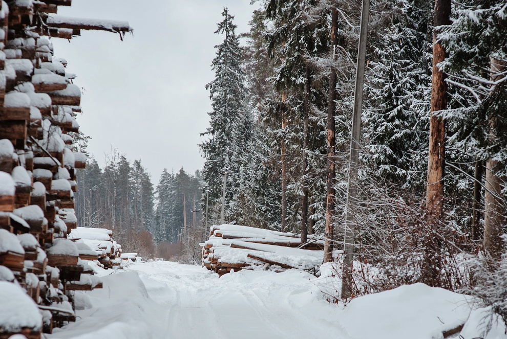 Industrial roundwood harvest in Finland totals 60.1 million m3 in 2025, down 3% from previous year