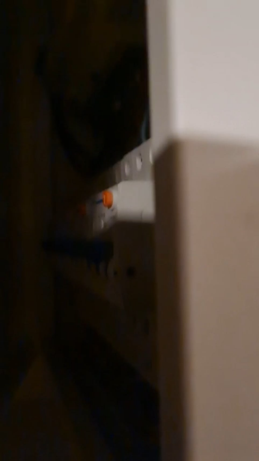 Buzzing sound in fuse box - need advice