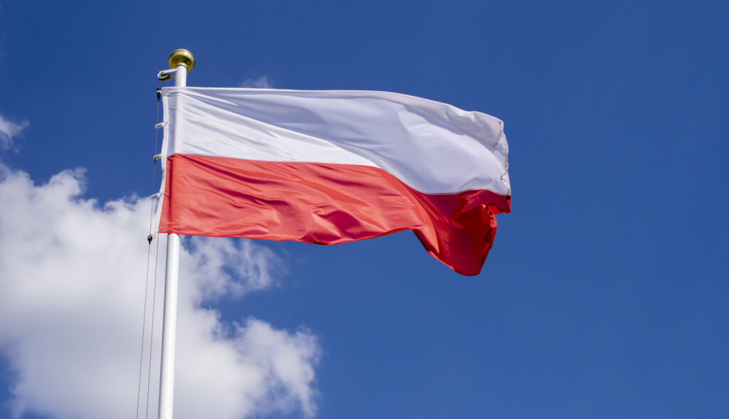 Sanctioned Goods ‘Illegally’ Sent to Russia via Poland Sanctioned Goods ‘Illegally’ Sent to Russia via Poland