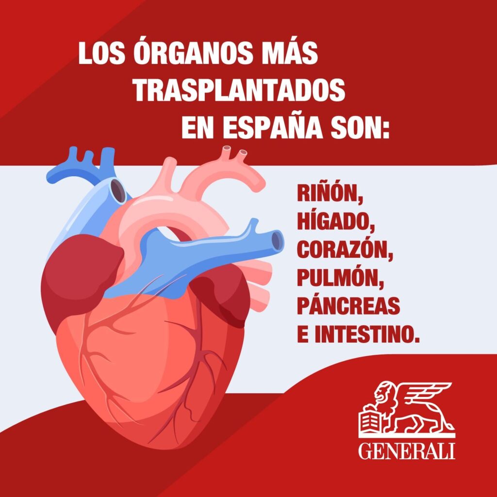Spain, more than 30 years as a world leader in organ donation 🧠⛑️