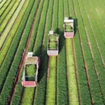 fundsforNGOs News - Grants and Resources for Sustainability