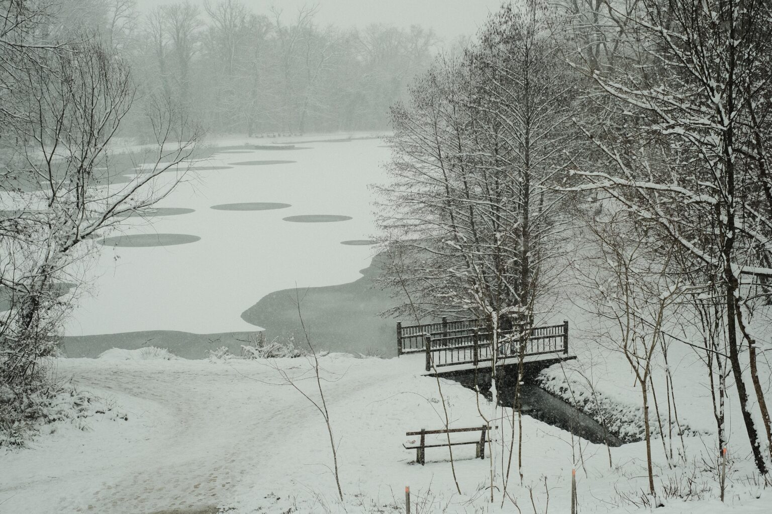 Maksimir Fourth Lake