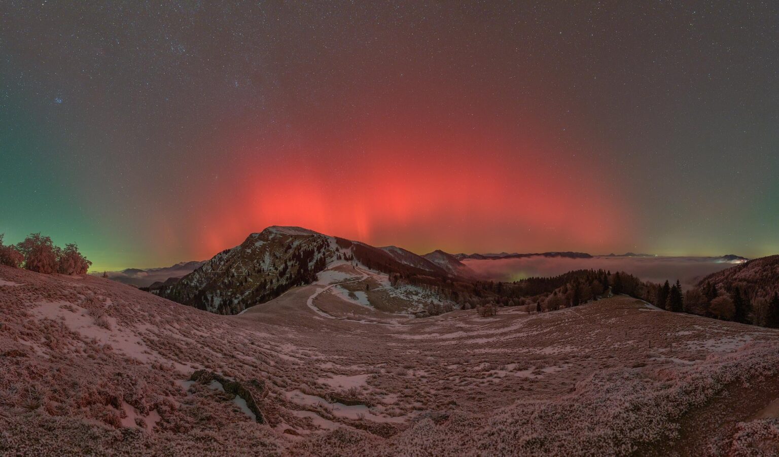Taxonomy and northern lights