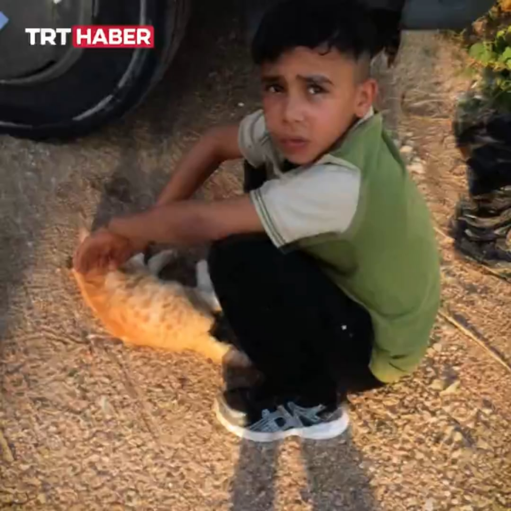 In Antalya, a 10-year-old boy brought a dying cat back to life with heart massage.