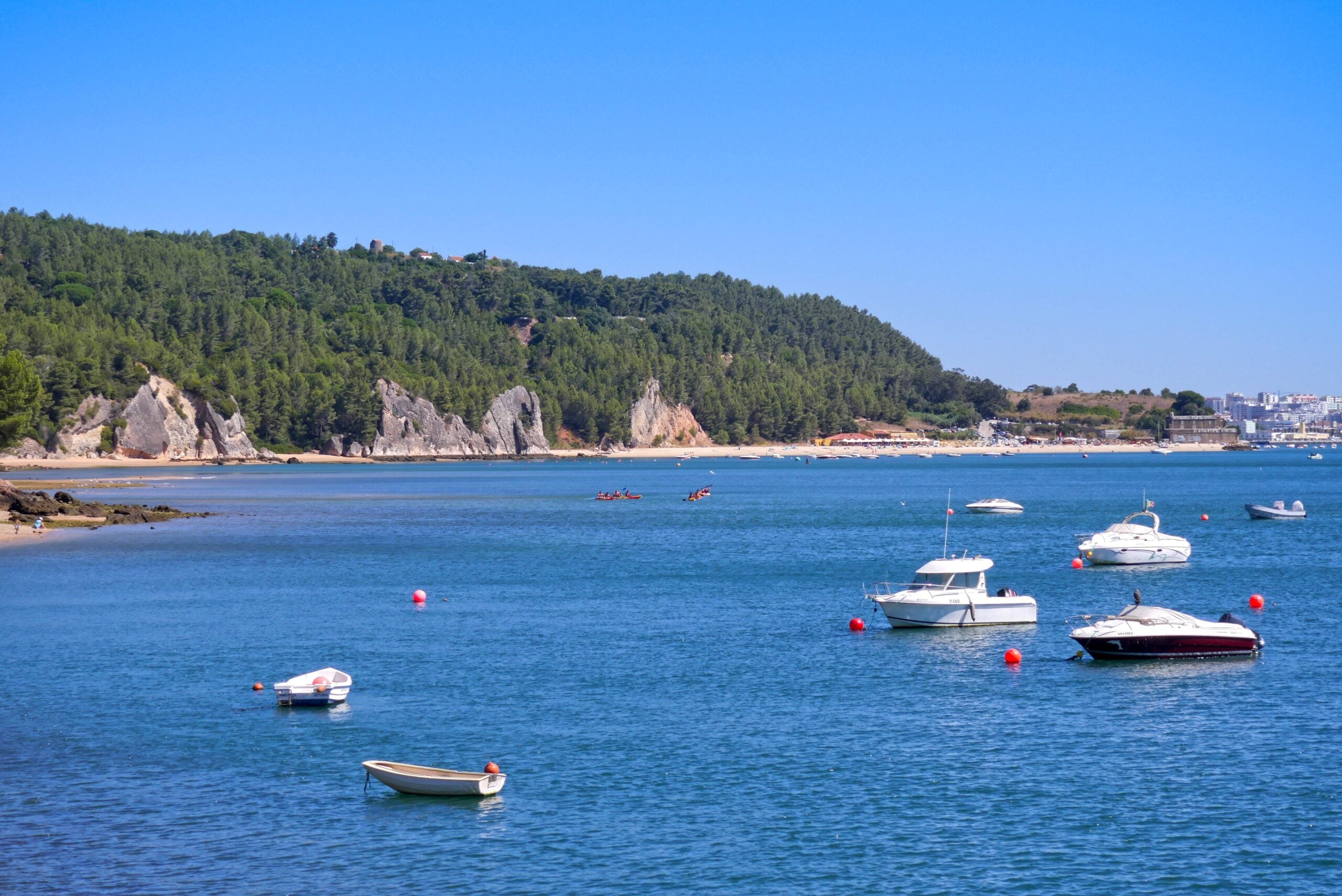 private boat tour Sado River estuary