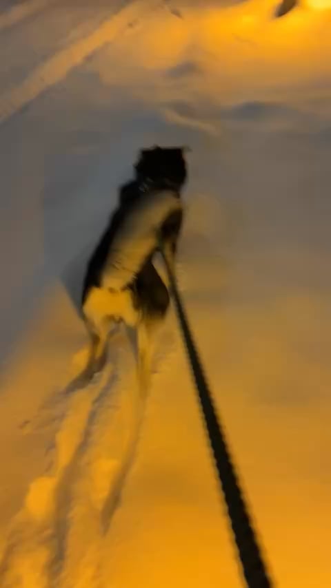 Cozy with lots of snow!