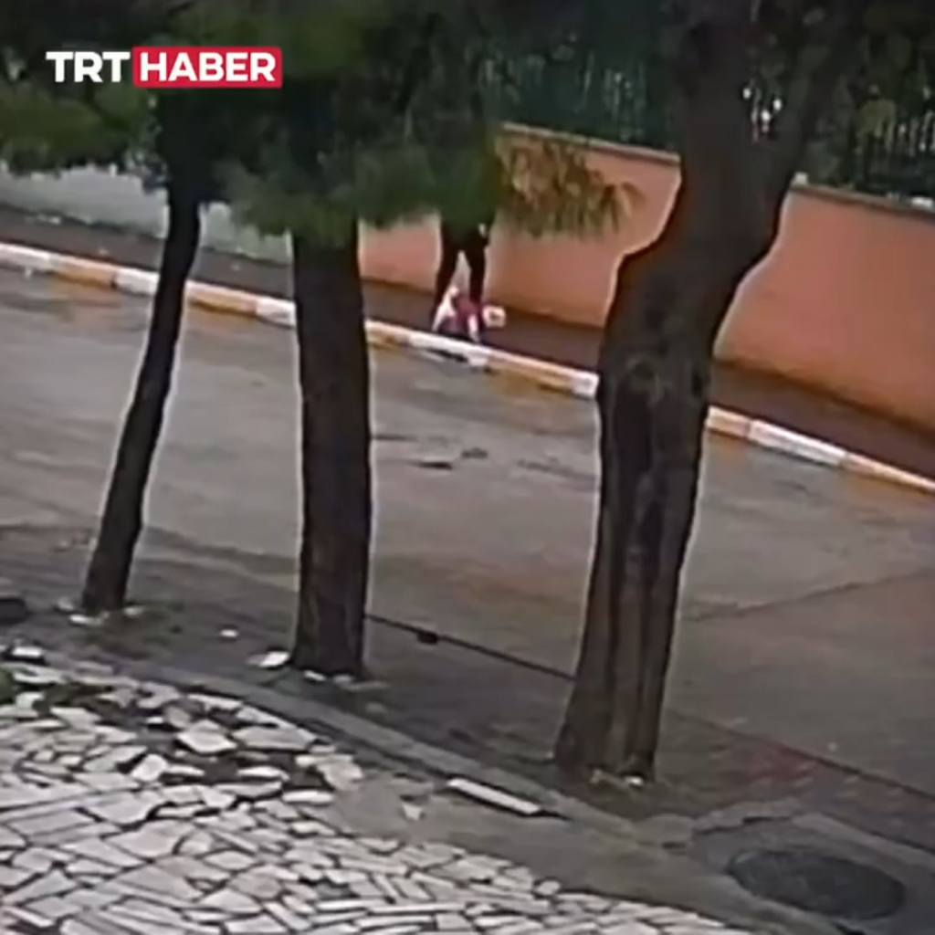 In Adana, stray stray dogs attacked a woman and her dog who were out for a walk.