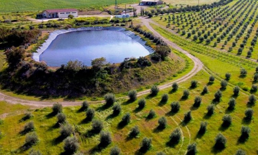 Even in Cyprus’s Dead Zone, life finds a way to be cultivated, KNEWS