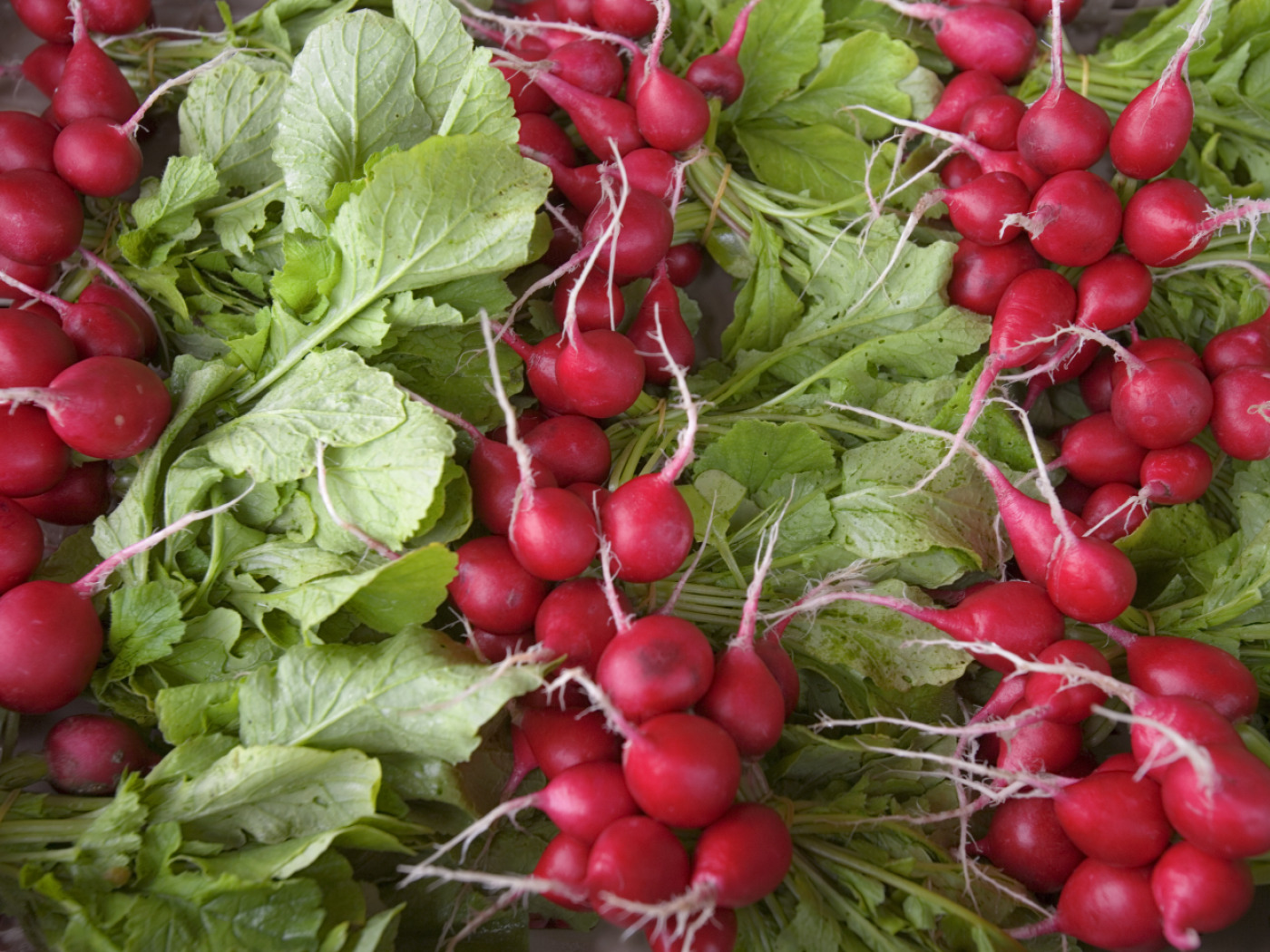 Traditional Bernese organic wholesaler Horai has filed for bankruptcy