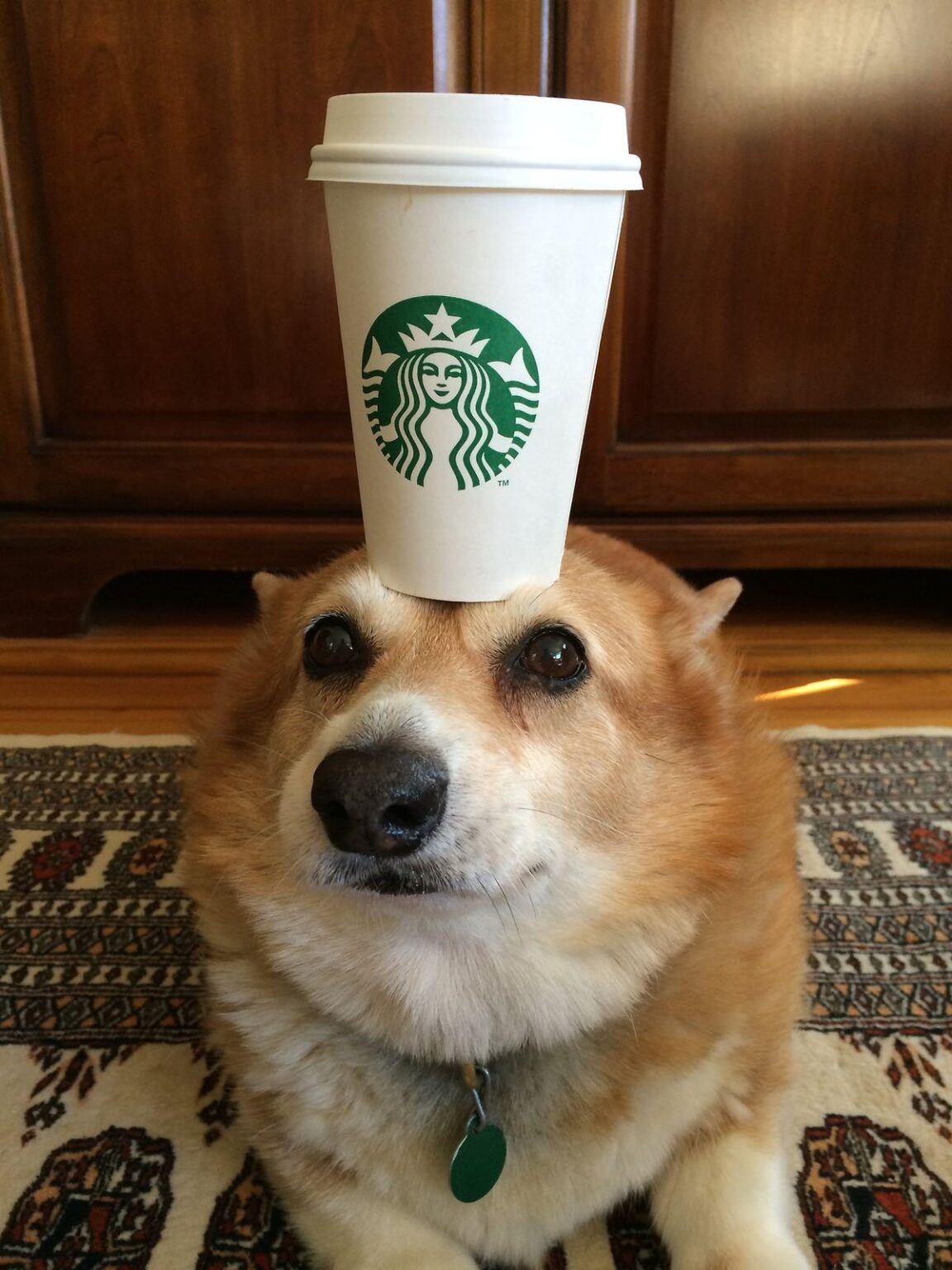 Where can I drink the best coffee in Vake?