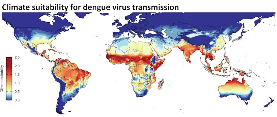 A world map shows where mosquitos are most likely to transmit the dengue virus